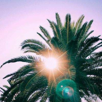 KOK·综合体育app