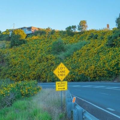 AG大厅网址手机app下载