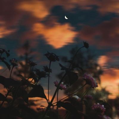 体育投注网址365