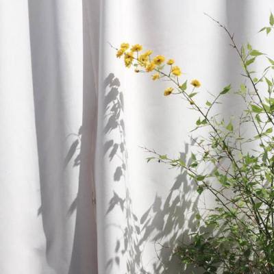 半岛·综合手机app下载